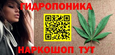прущие крисы Кинель